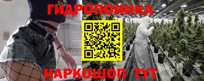 сатива Кунгур
