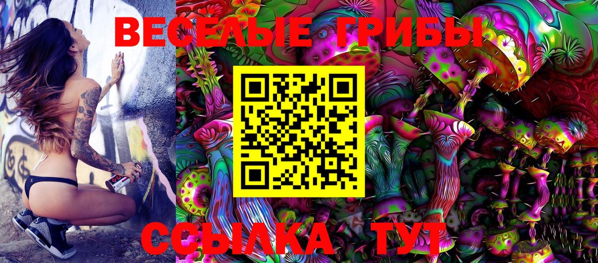 Галлюциногенные грибы Cubensis  Псилоцибиновые грибы Magic Shrooms  Знаменск  Вход с VPN 