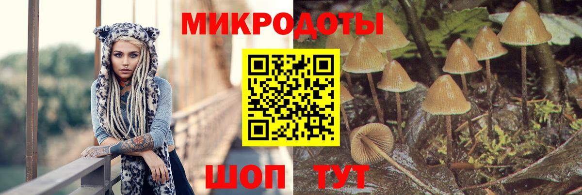Псилоцибиновые грибы мухоморы Знаменск